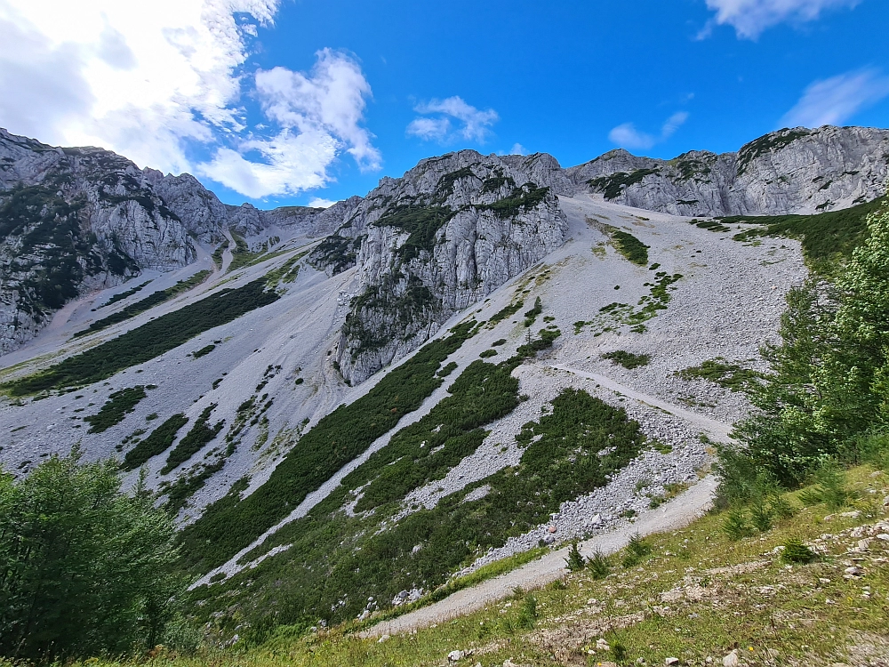 Slika je vidna v Google Chromu.