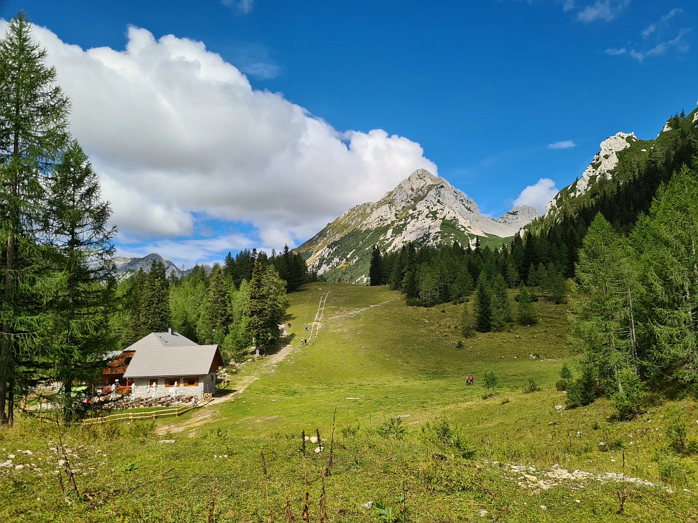 Slika je vidna v Google Chromu.