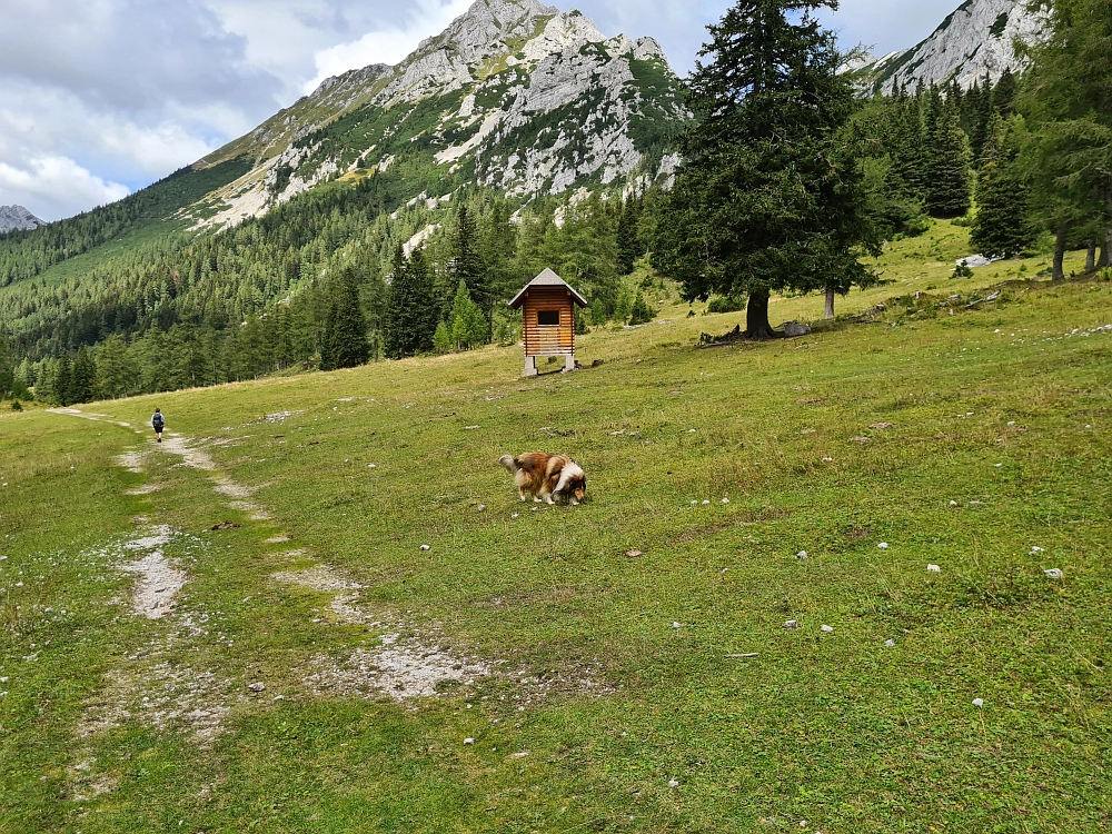 Slika je vidna v Google Chromu.