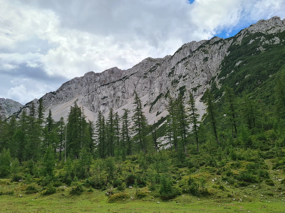Slika je vidna v Google Chromu.