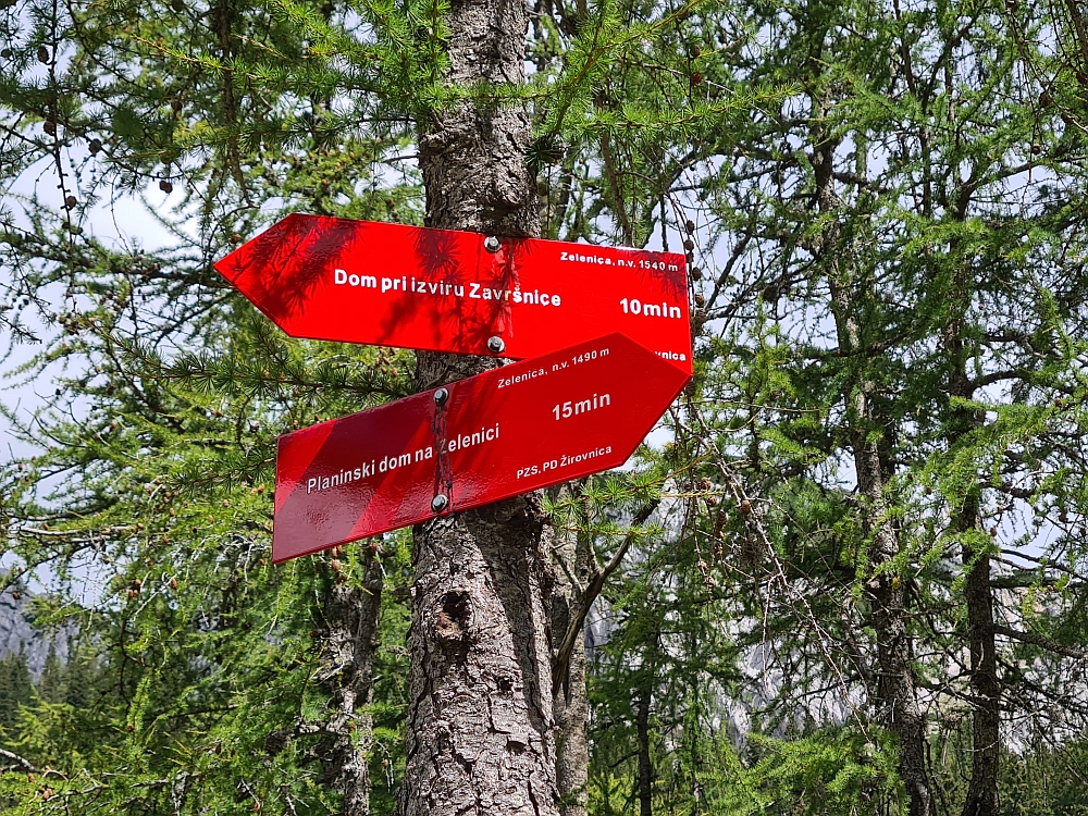 Slika je vidna v Google Chromu.