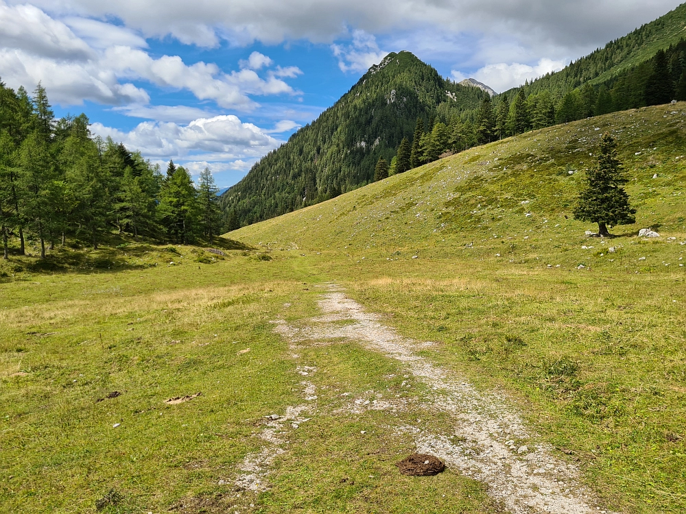 Slika je vidna v Google Chromu.