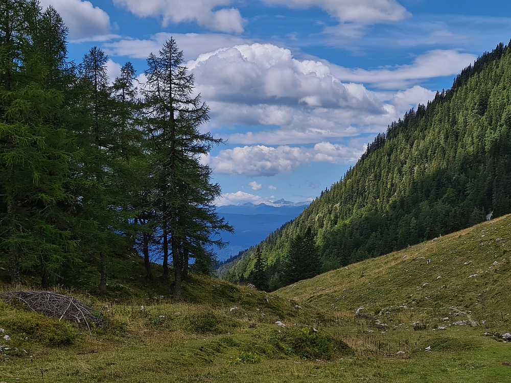 Slika je vidna v Google Chromu.