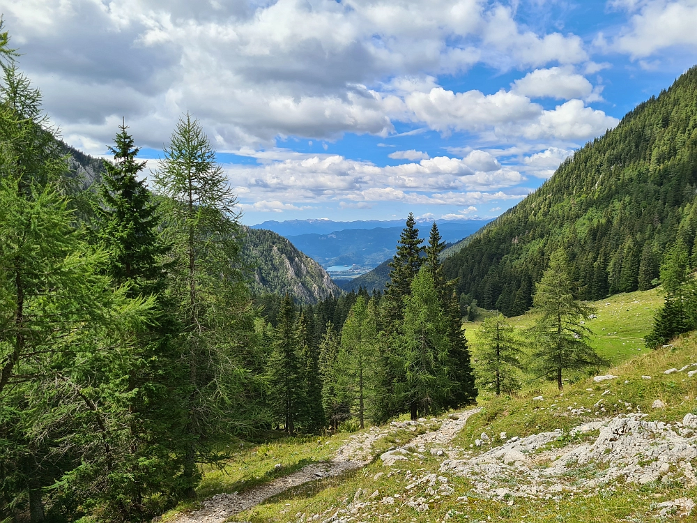Slika je vidna v Google Chromu.
