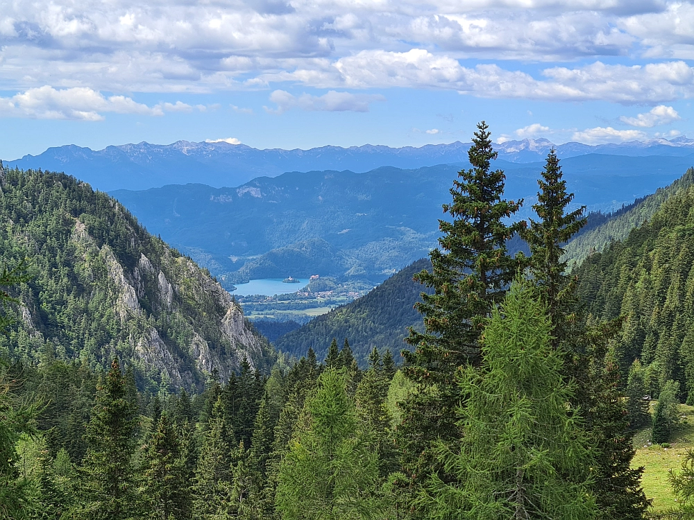 Slika je vidna v Google Chromu.