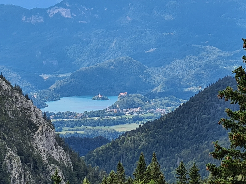 Slika je vidna v Google Chromu.