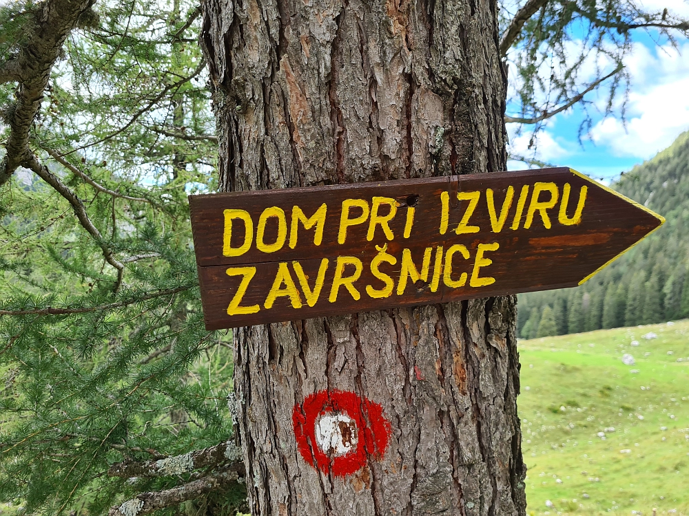 Slika je vidna v Google Chromu.