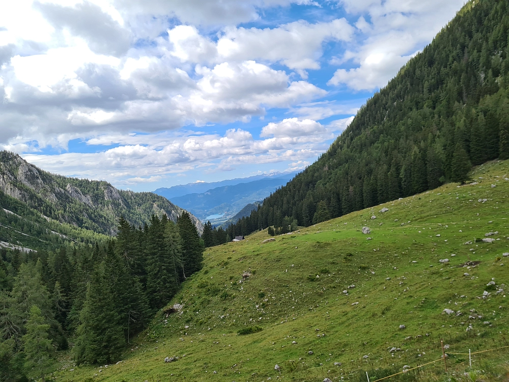 Slika je vidna v Google Chromu.