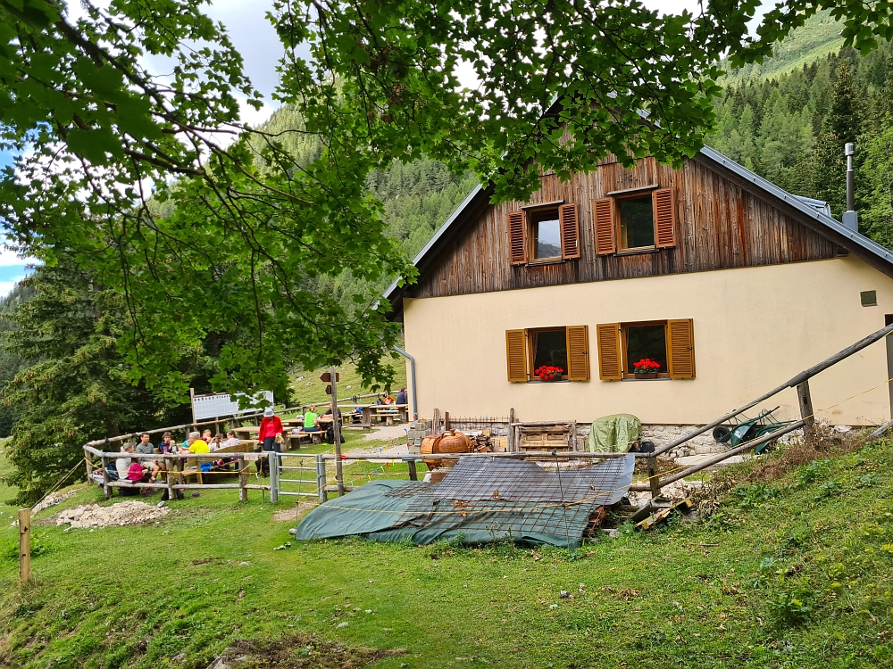 Slika je vidna v Google Chromu.