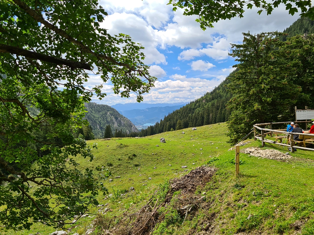 Slika je vidna v Google Chromu.