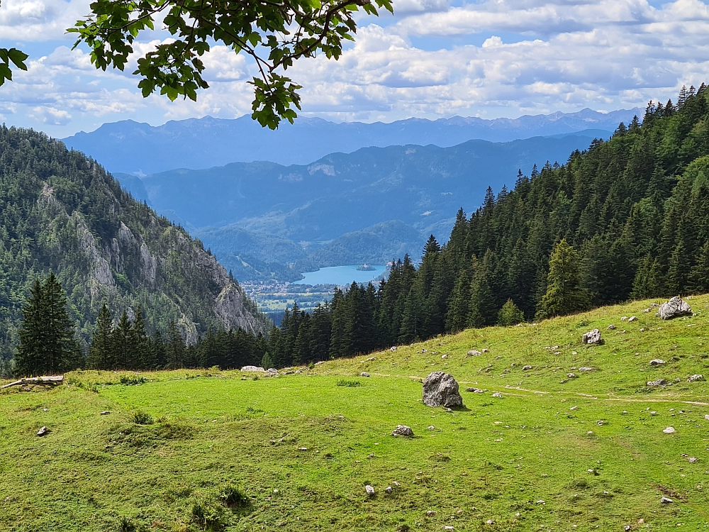 Slika je vidna v Google Chromu.