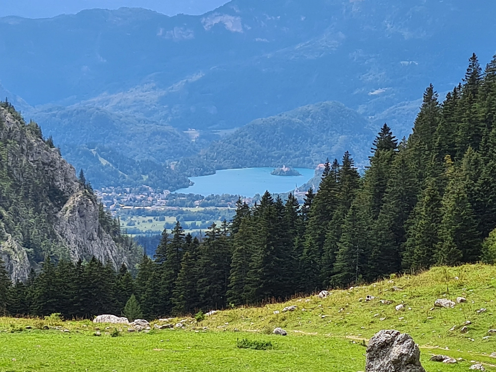 Slika je vidna v Google Chromu.