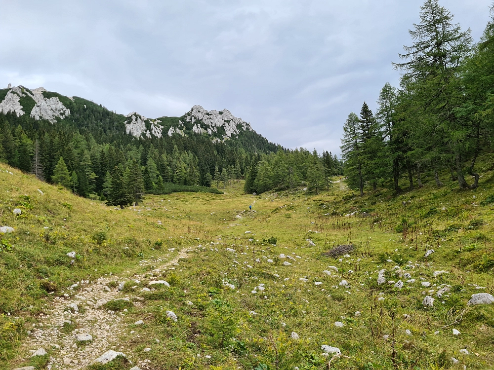 Slika je vidna v Google Chromu.