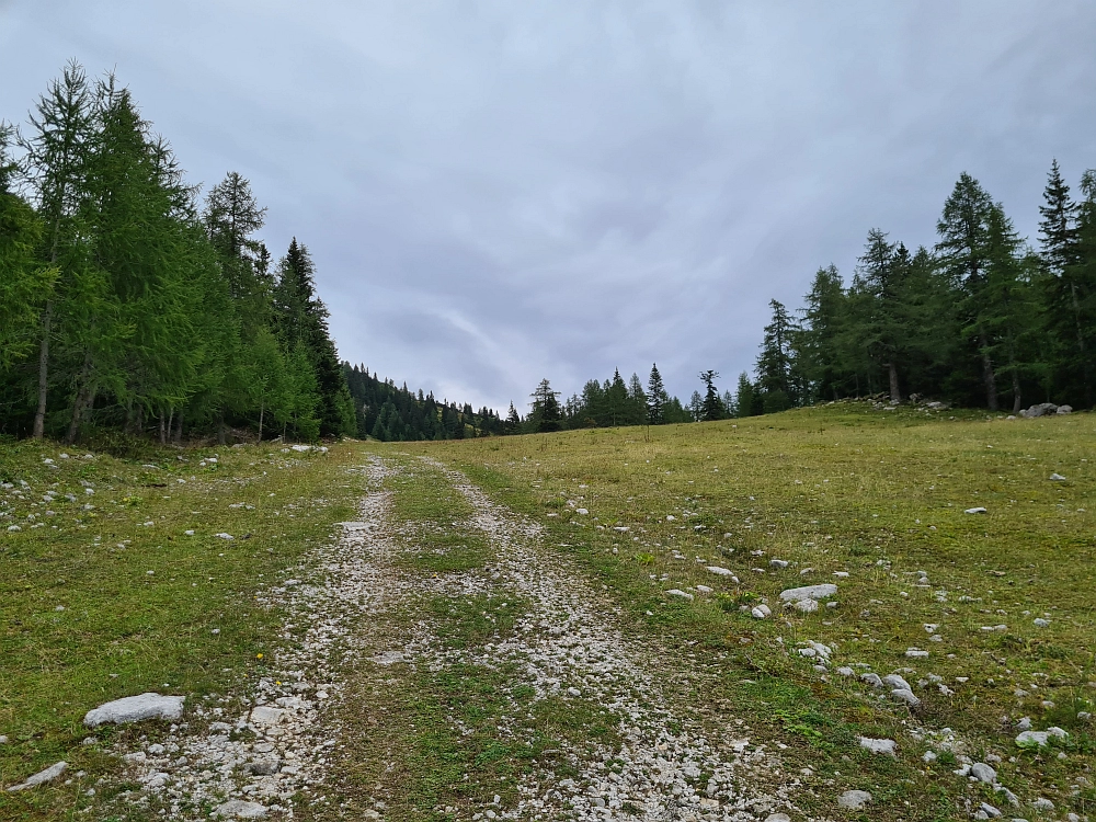 Slika je vidna v Google Chromu.