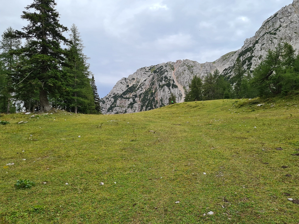 Slika je vidna v Google Chromu.