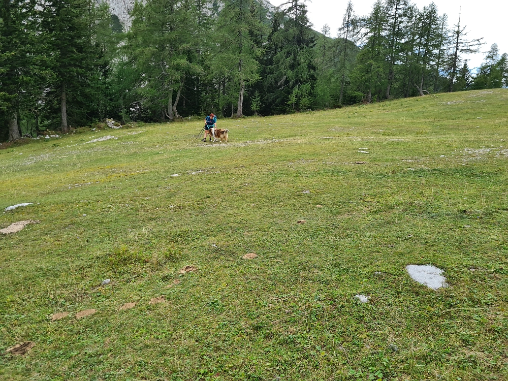 Slika je vidna v Google Chromu.