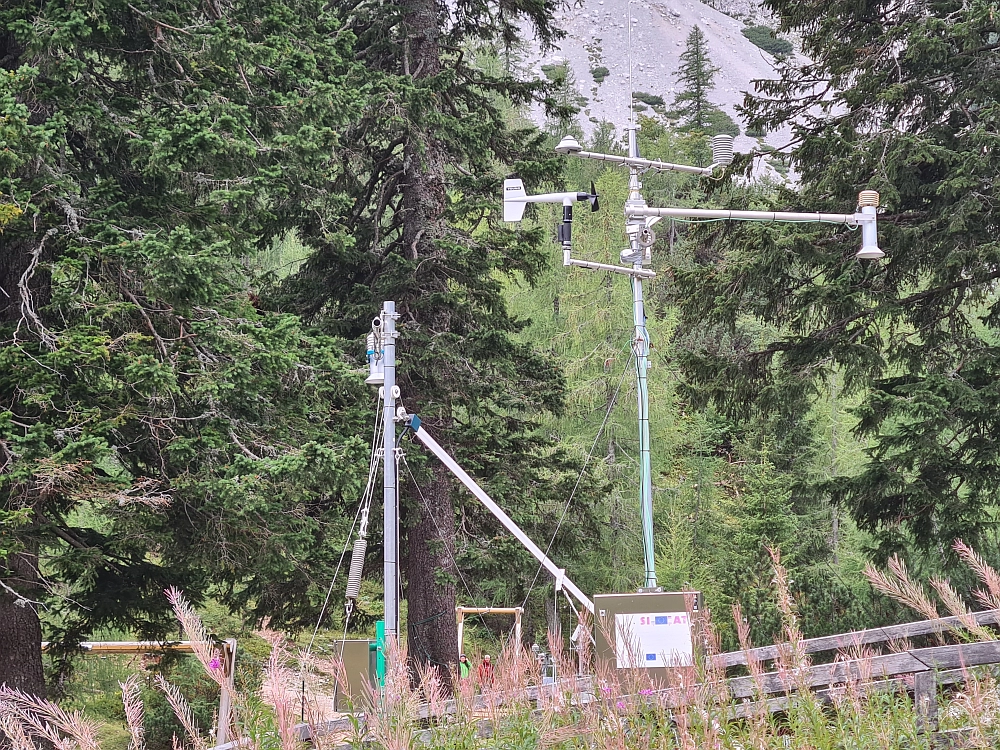 Slika je vidna v Google Chromu.