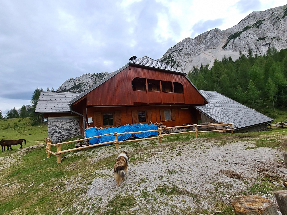 Slika je vidna v Google Chromu.