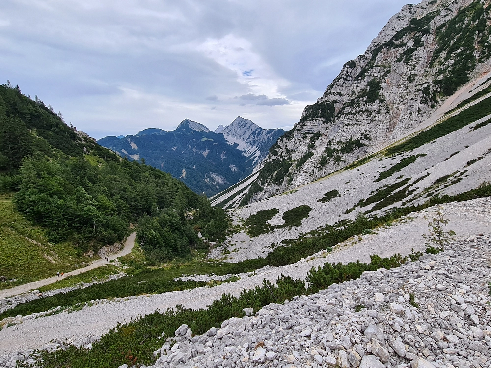 Slika je vidna v Google Chromu.