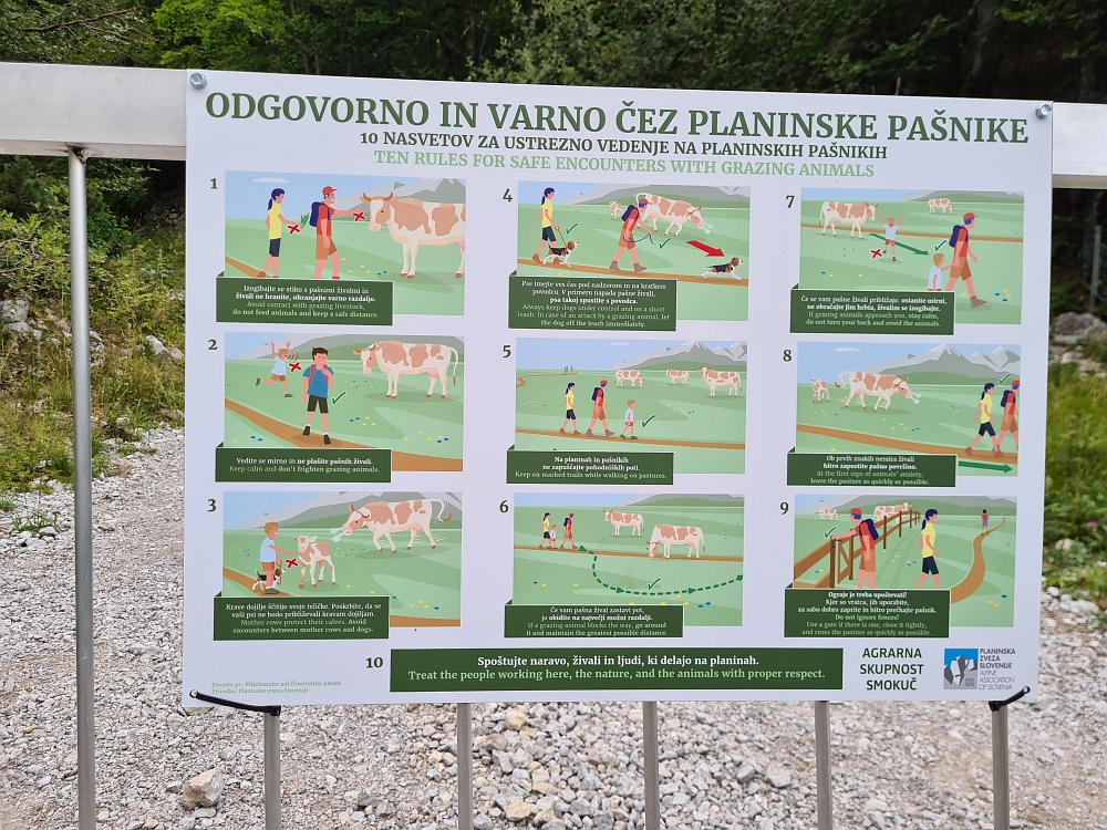 Slika je vidna v Google Chromu.