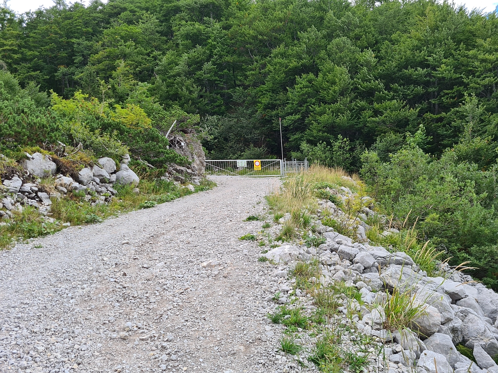 Slika je vidna v Google Chromu.