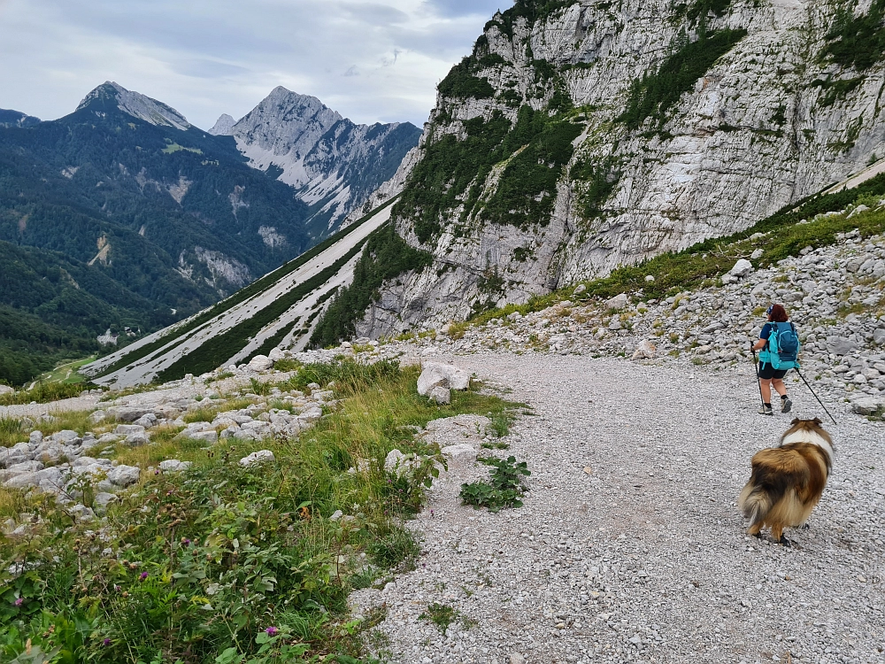 Slika je vidna v Google Chromu.
