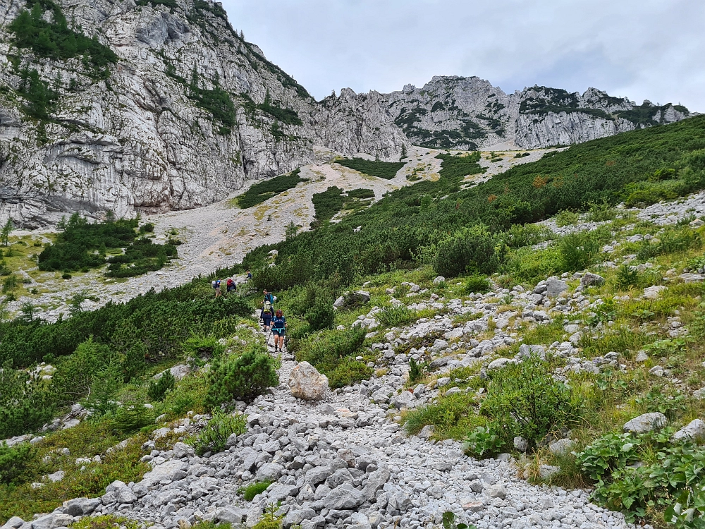 Slika je vidna v Google Chromu.