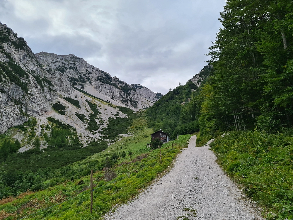 Slika je vidna v Google Chromu.
