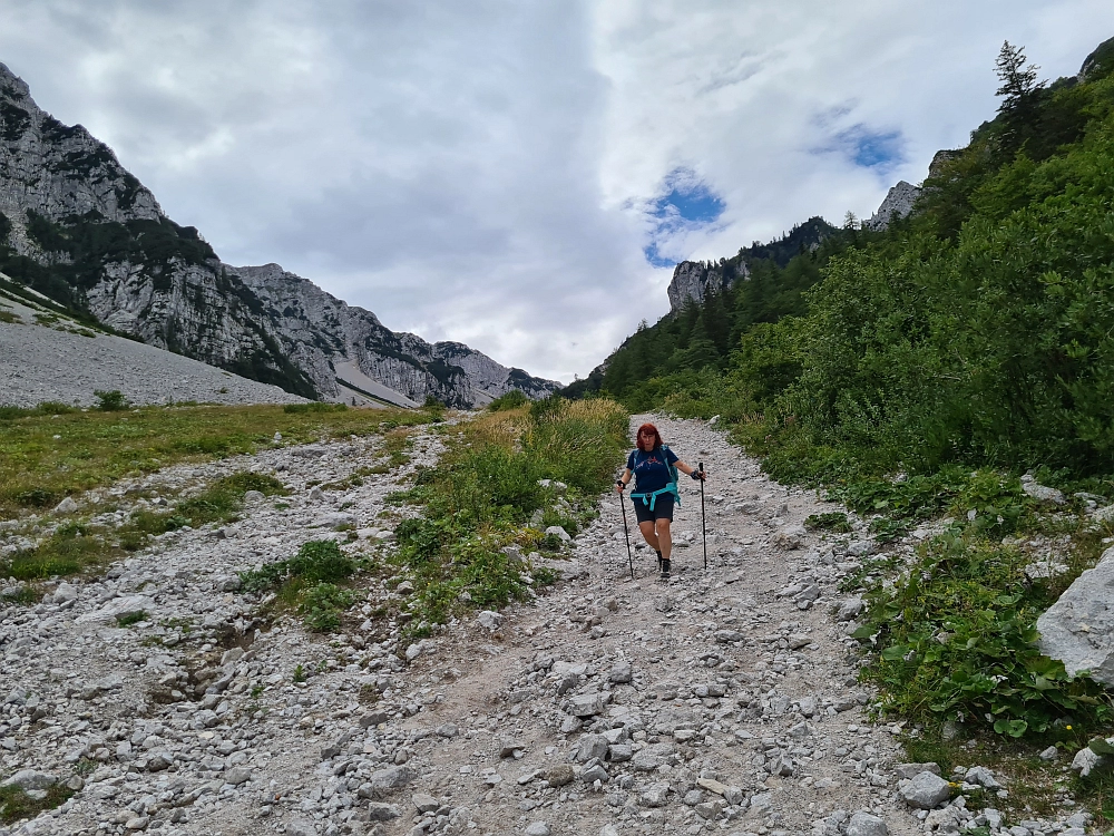 Slika je vidna v Google Chromu.