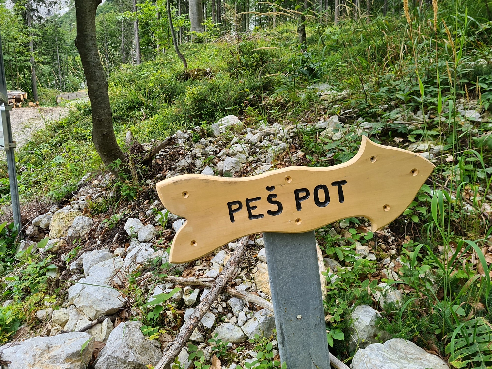 Slika je vidna v Google Chromu.