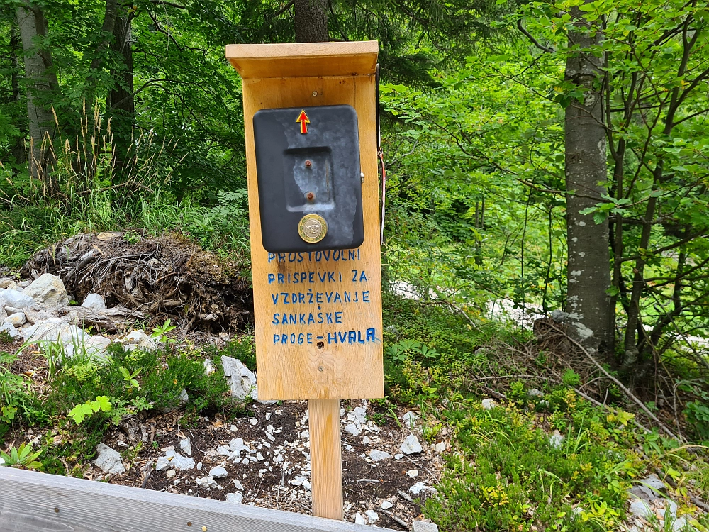 Slika je vidna v Google Chromu.