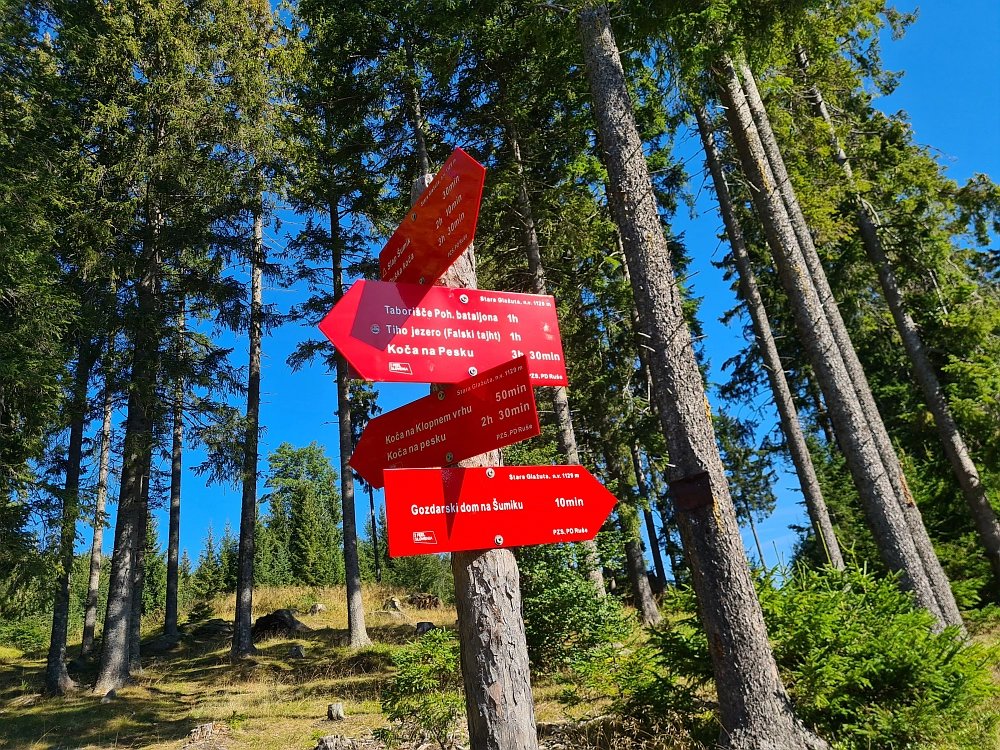 Slika je vidna v Google Chromu.