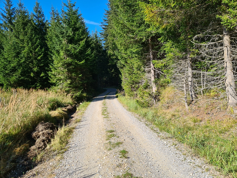 Slika je vidna v Google Chromu.
