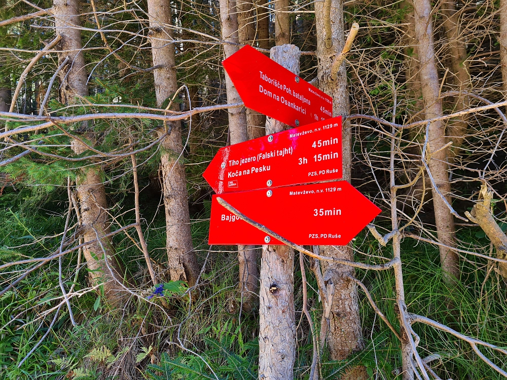 Slika je vidna v Google Chromu.