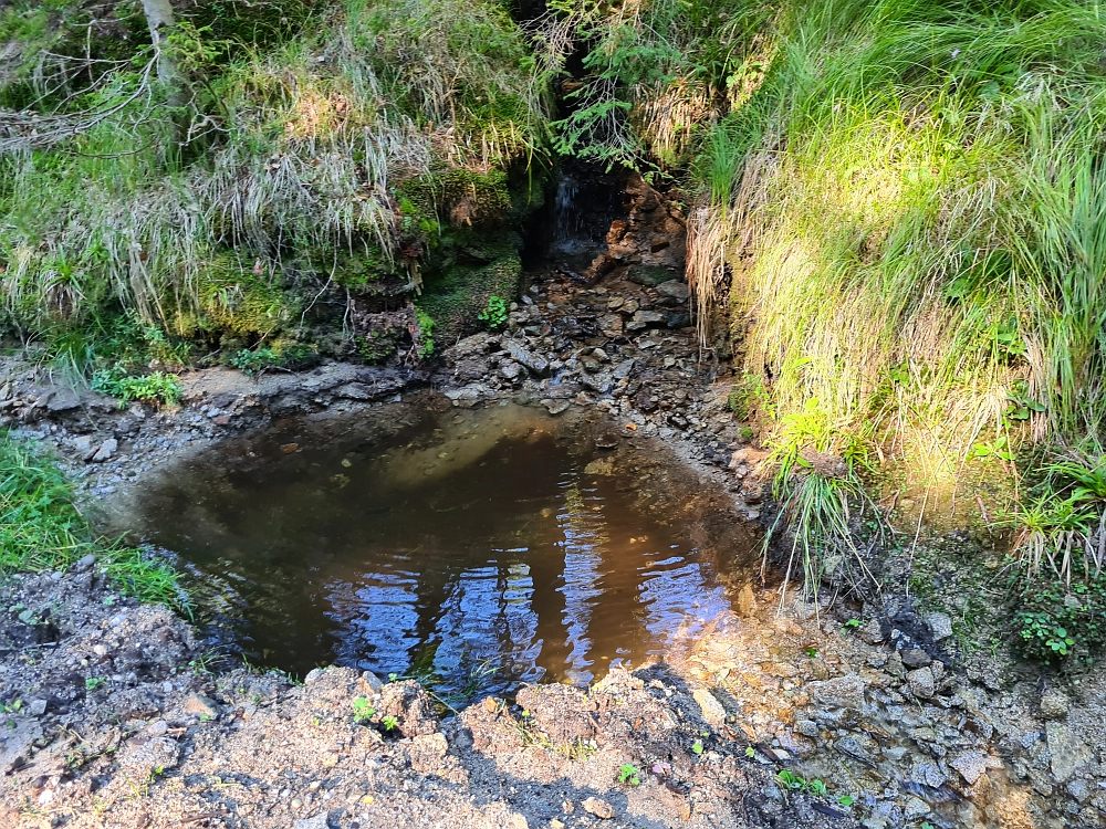 Slika je vidna v Google Chromu.