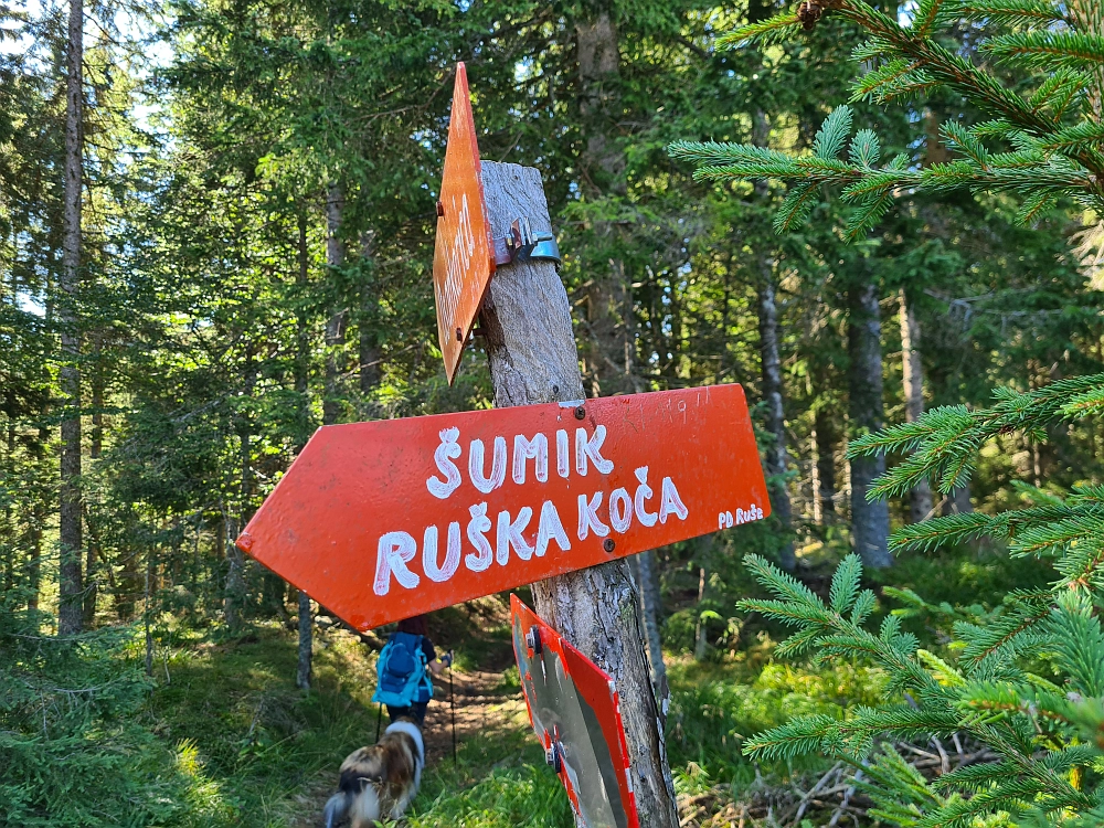 Slika je vidna v Google Chromu.