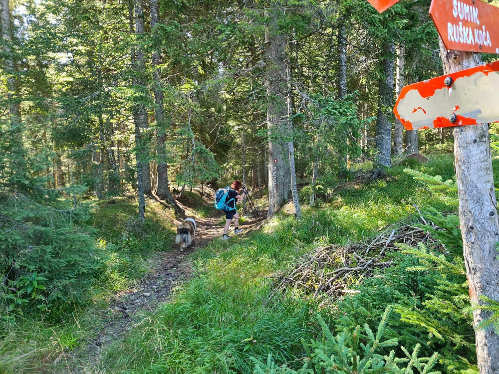 Slika je vidna v Google Chromu.