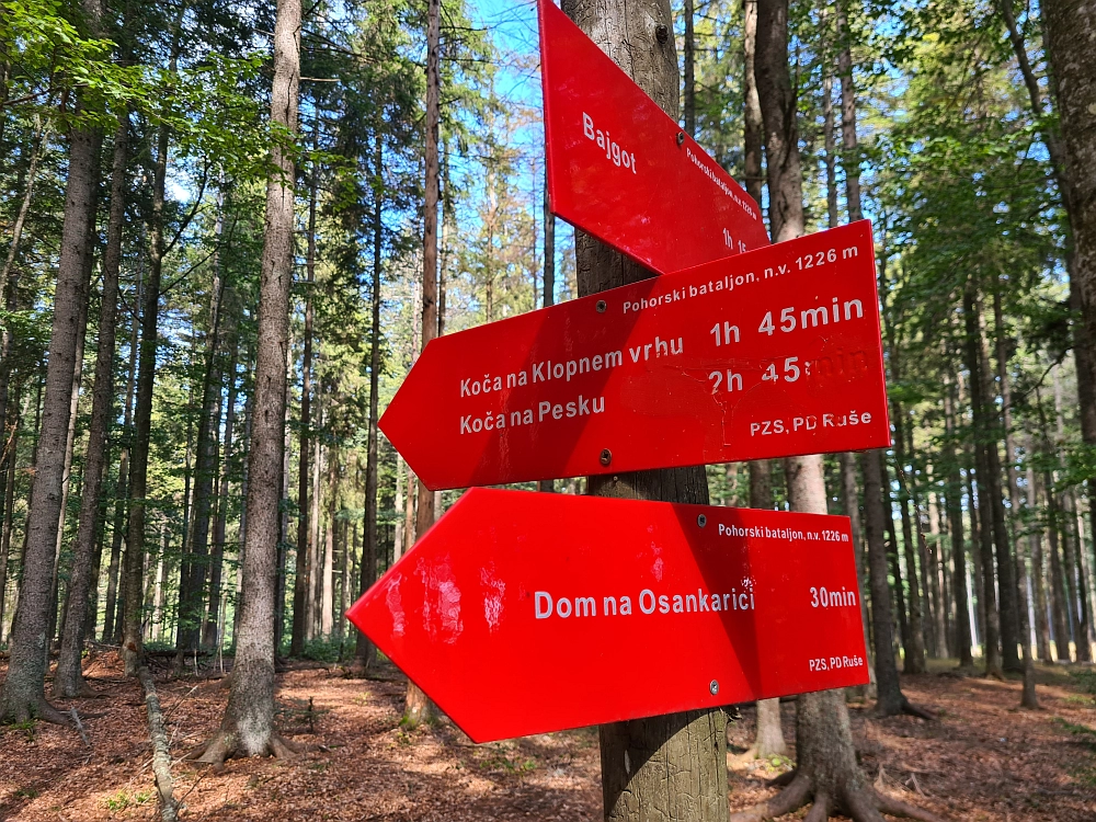 Slika je vidna v Google Chromu.