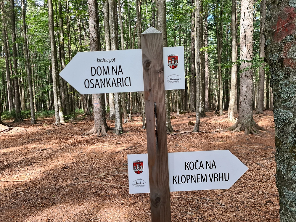 Slika je vidna v Google Chromu.