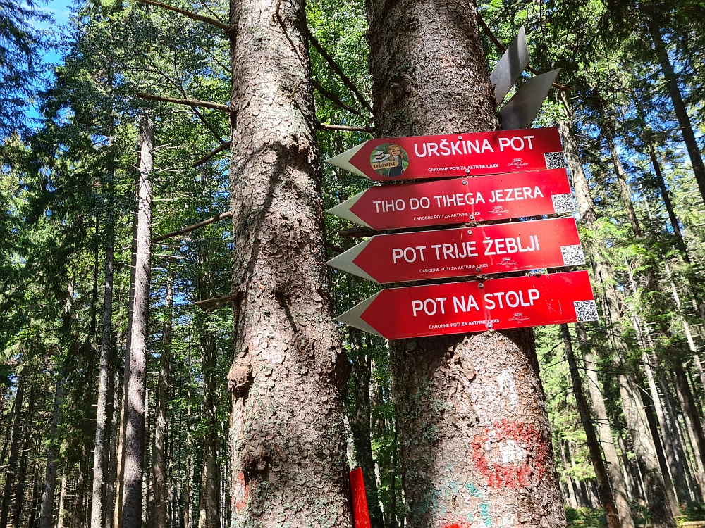 Slika je vidna v Google Chromu.