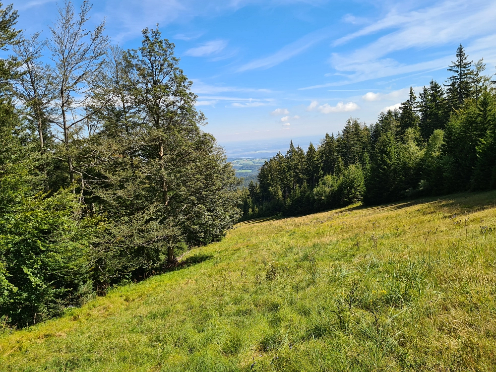 Slika je vidna v Google Chromu.