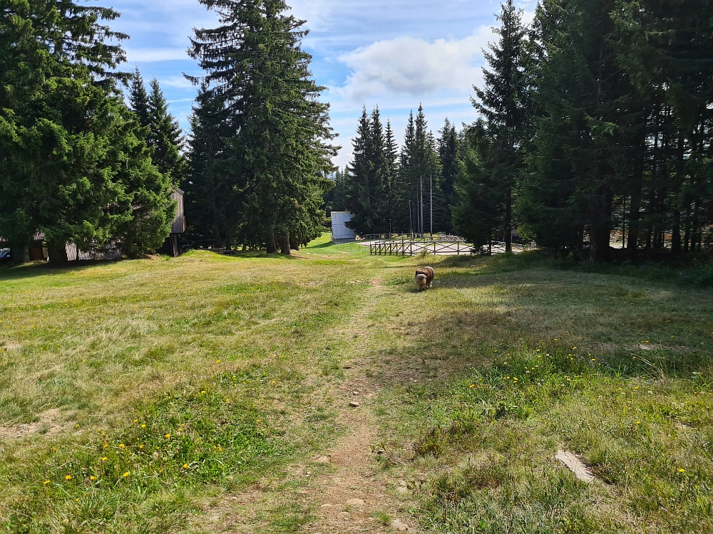 Slika je vidna v Google Chromu.