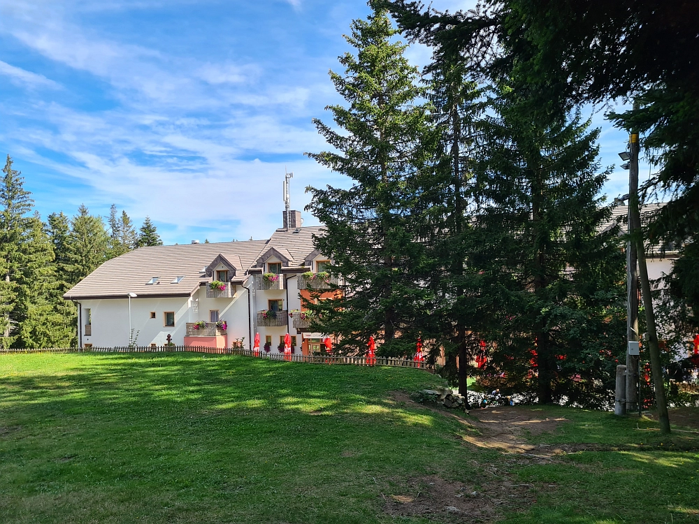 Slika je vidna v Google Chromu.