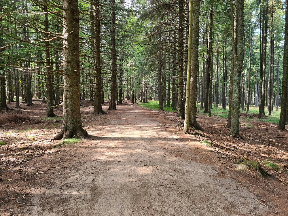 Slika je vidna v Google Chromu.