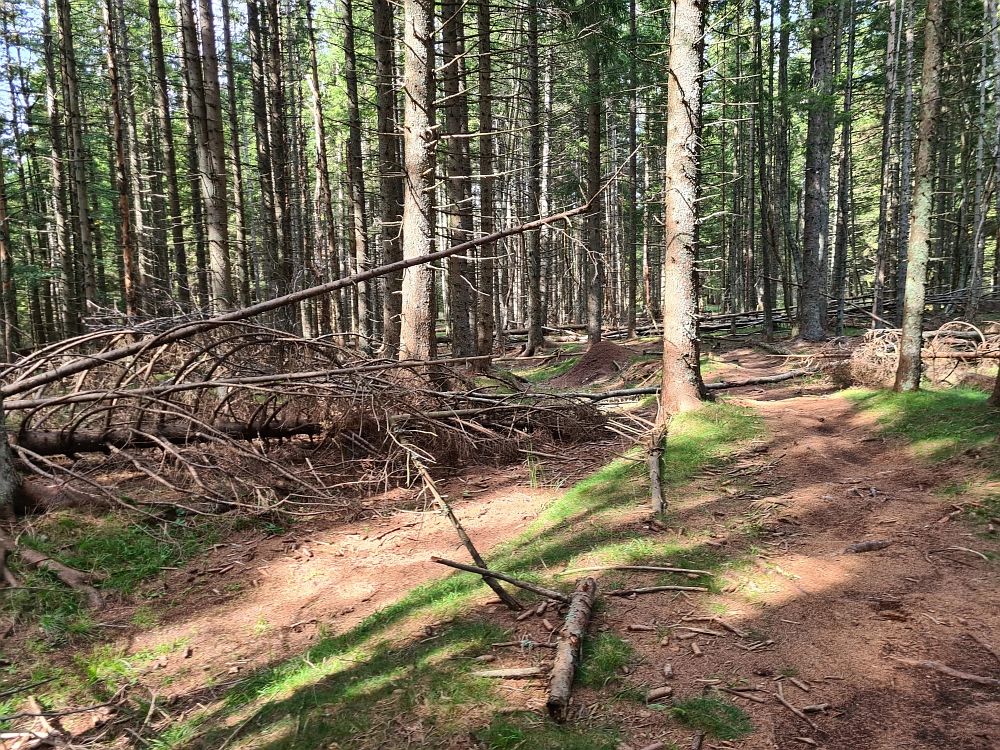 Slika je vidna v Google Chromu.