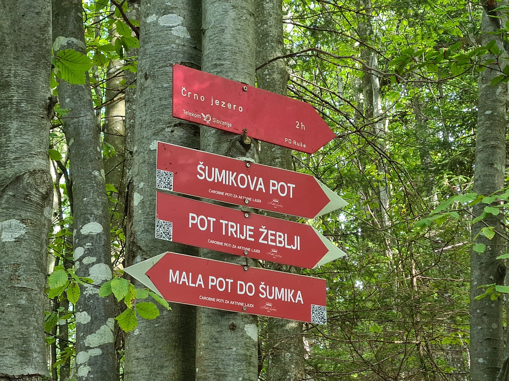 Slika je vidna v Google Chromu.