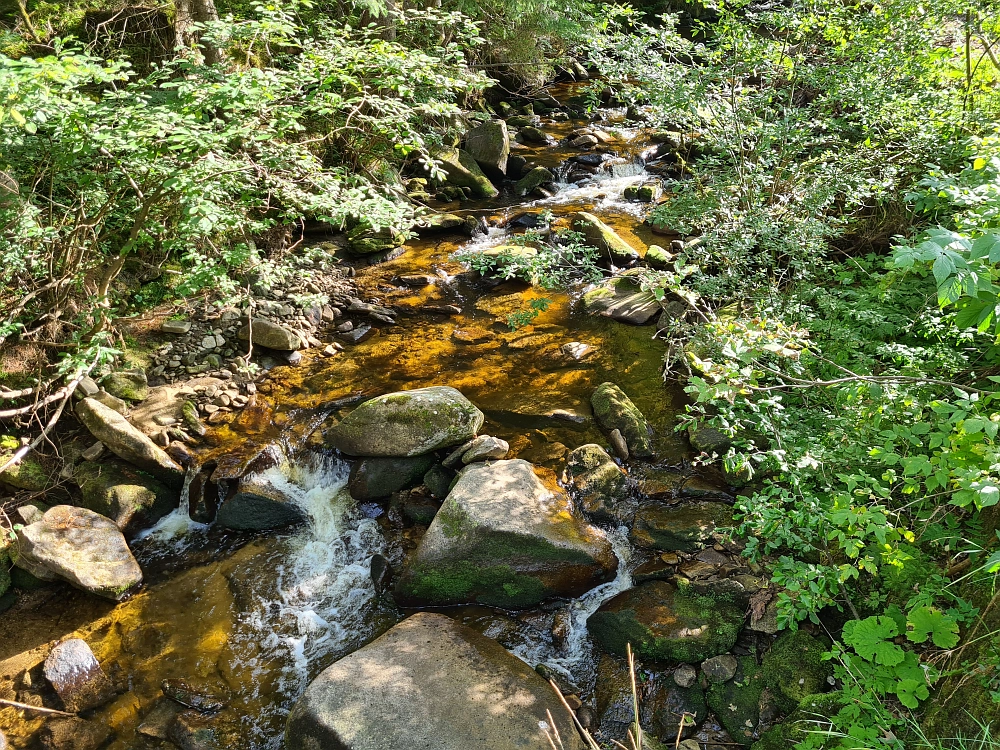Slika je vidna v Google Chromu.
