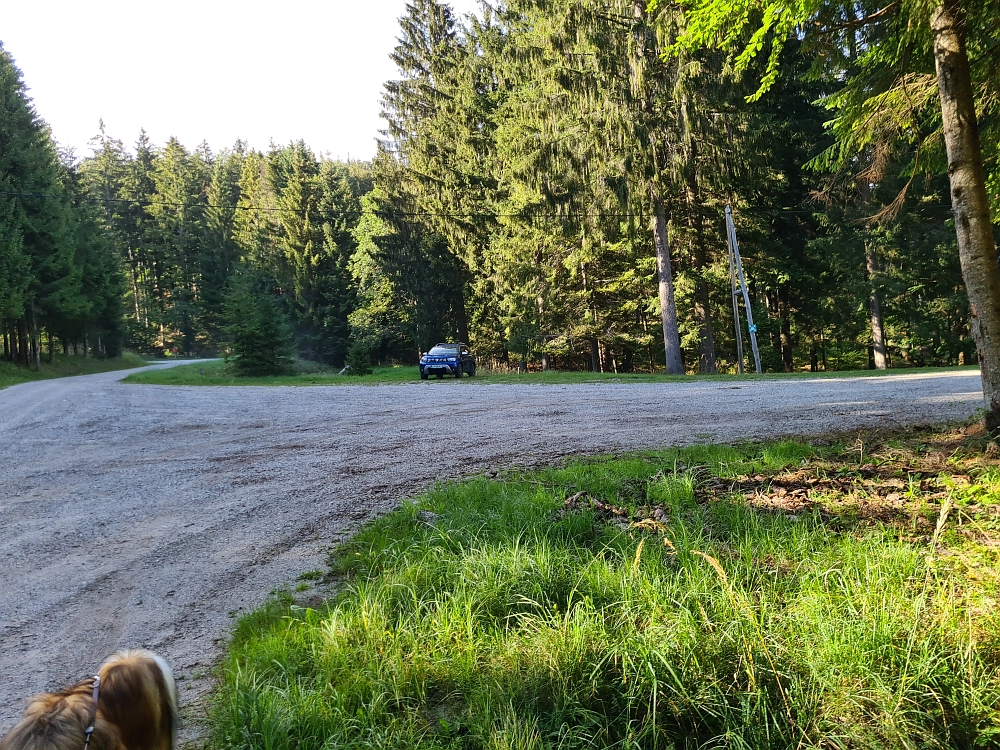 Slika je vidna v Google Chromu.