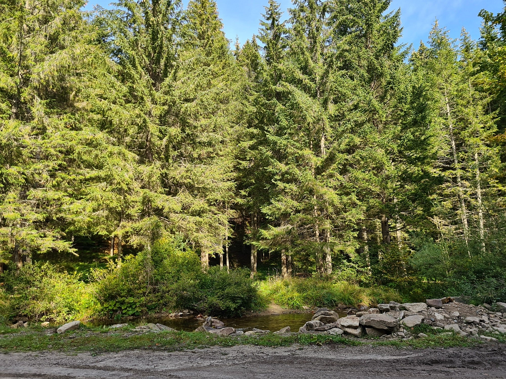 Slika je vidna v Google Chromu.