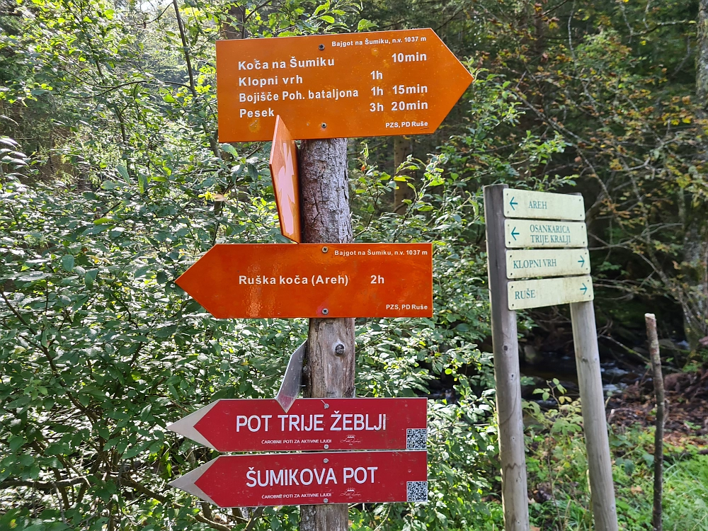 Slika je vidna v Google Chromu.